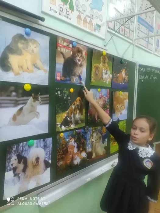 da13902c-d690-4939-8e28-a0004e15a2b9