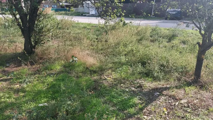 ad72d51f-19a9-404d-8e9a-a881b216d94a