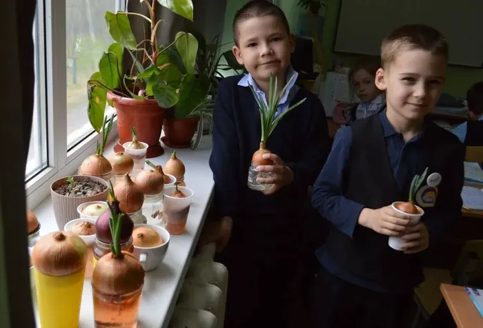 33aacc2f-b0be-4e44-b6dd-163171e845ad