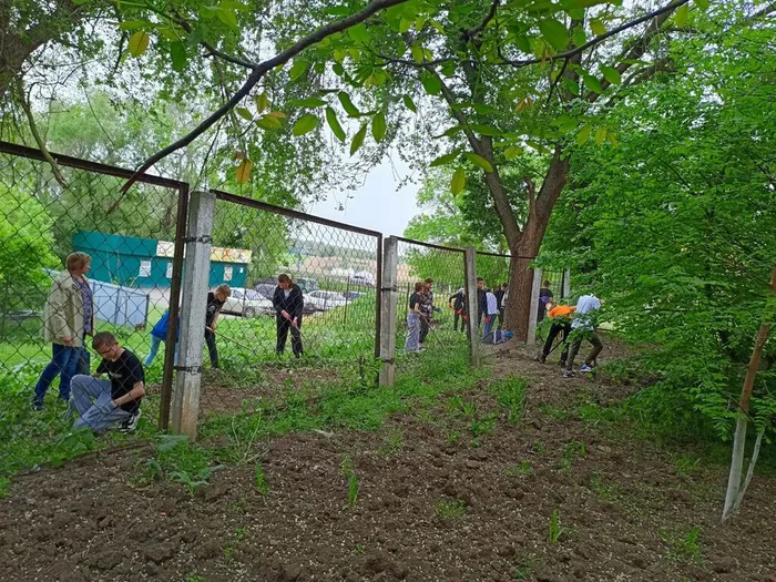 photo1714208485 (3)