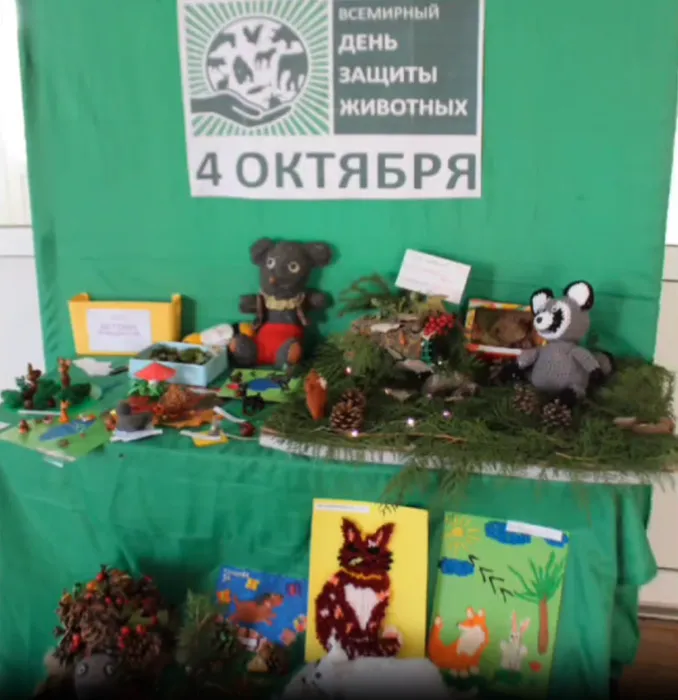 выставка