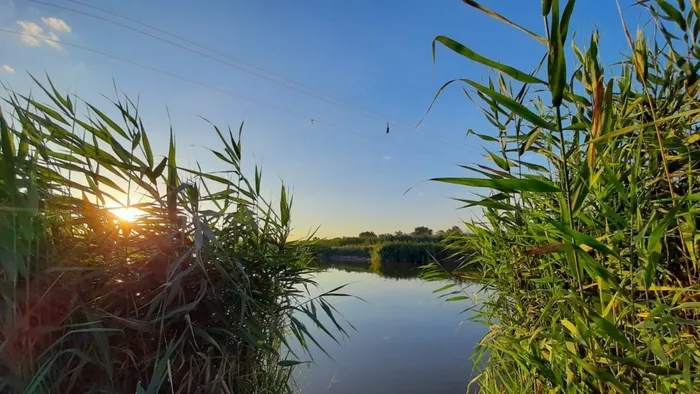 WhatsApp Image 2020-09-02 at 13.17.02