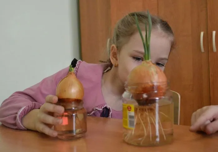 67c7e719-d2d5-4a43-8234-53b8c3672ecf