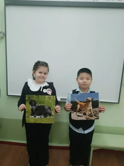 c95a83b9-194d-4ce1-8cb2-d02f68794442