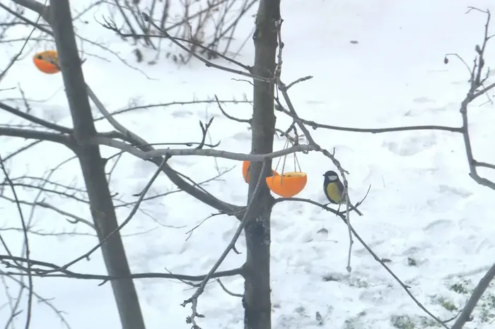 7024bb6d-c182-41df-b105-717968086bd0