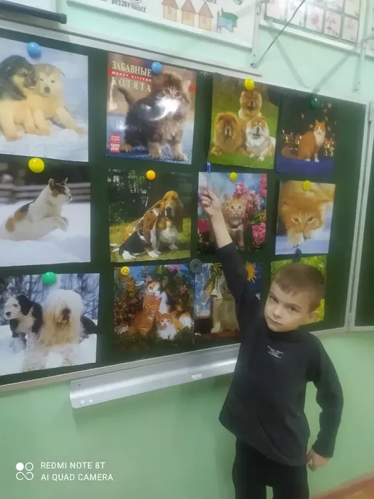 c4a16d3f-a8d7-4059-9d10-cb100f0d7a49