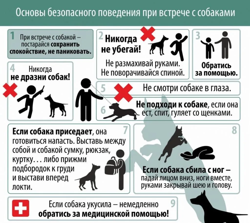 55s_kId_j8I_1000_fitted_to_width