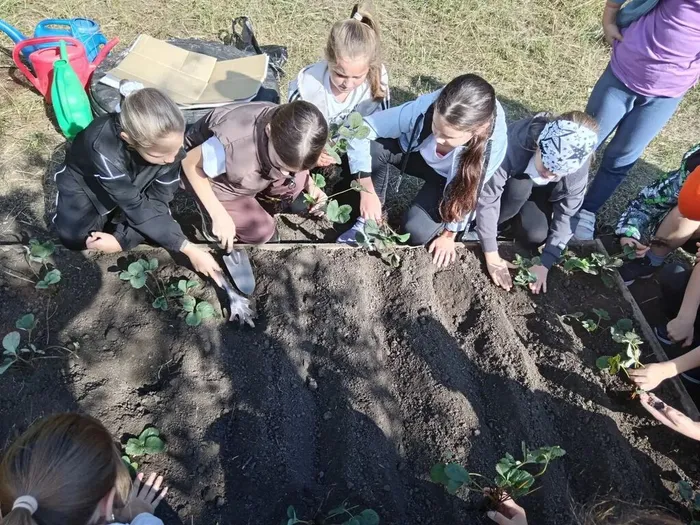 af312127-90c5-4d96-a0d0-8bd6e59dbab7