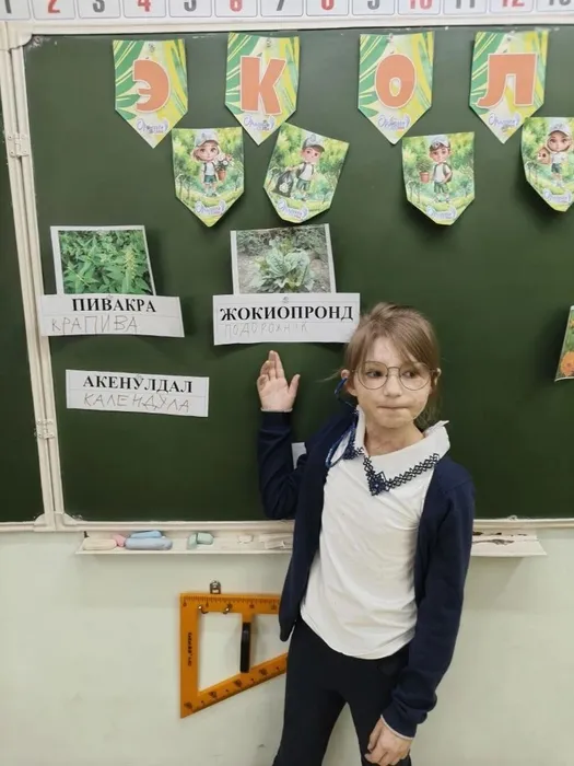 TDweXysuB6ScCMFJtH-Ri_RBB_gOaEW_z3utXs0Sa00Qqf8_6wWplfqrWd3lANC1pPad7WleU1SIkgKNH8wQc8UO