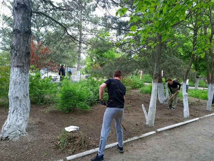 photo1714208500 (8)