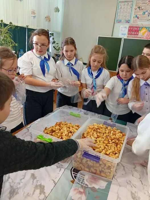 p3o9991mY50MgjEpNQqT3mCYjitbZzoL-bdcD36LIBP-bbESoSmFa62eln3RMy-4-tUY0BxGa5_N_1rVFMtqH7HQ