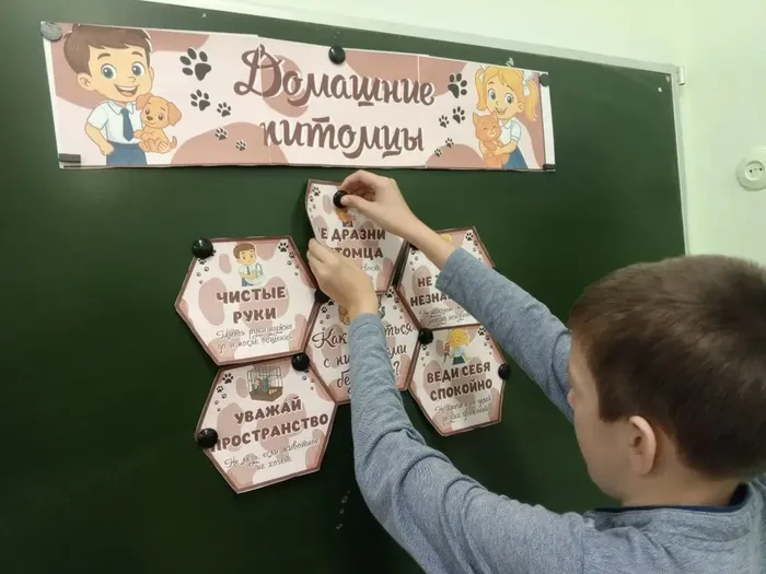 46aa6bfa-ef98-4021-882a-1cf139fe7da6